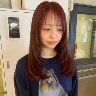 セミロング カラー ヘアアレンジ 海外/ハイトーン🪽 ☯️ami☯️のヘアスタイル