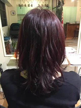 セミロング カラー TOPstylist ✂️フセケイタ✂️のヘアスタイル