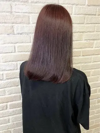 セミロング 政木 紳吾のヘアスタイル