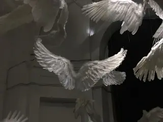 マツエク・マツパ B☆star ミユウ🩶のマツエク・マツパデザイン