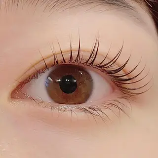 マツエク・マツパ ナチュラル アイラッシュのマツエク・マツパデザイン