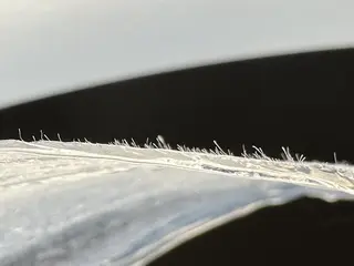 国本 寿恵のエステ・リラクイメージ