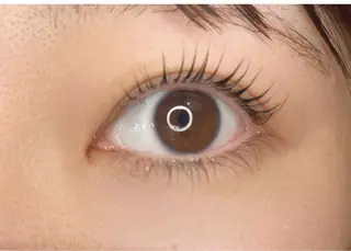 マツエク・マツパ cocoro💜 中野の眉毛・アイブロウイメージ