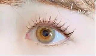 マツエク・マツパ Loa🪷 カケハシのマツエク・マツパデザイン