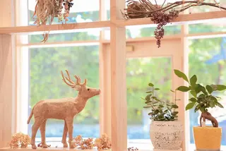 merc. 宮川琴代のヘアスタイル