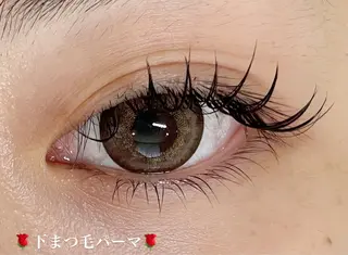 マツエク・マツパ Butterfly 平塚店　中島のマツエク・マツパデザイン