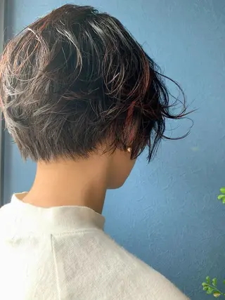 ショート ✨白髪ぼかし 🍀MINAKO☆のヘアスタイル
