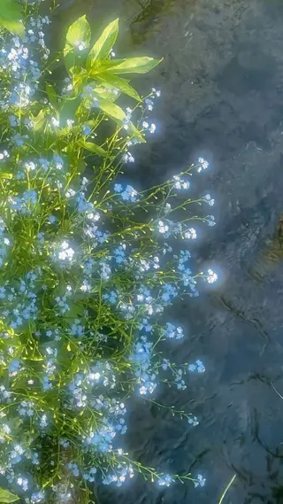 マツエク・マツパ B☆star ひらり🩵のマツエク・マツパデザイン