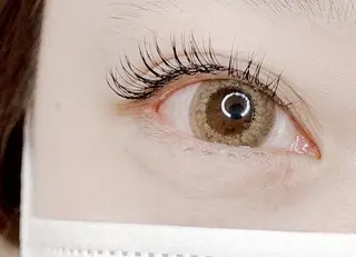 マツエク・マツパ MOCOE SATOMIのマツエク・マツパデザイン