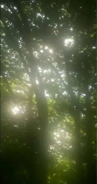 マツエク・マツパ ひなの 🌼のマツエク・マツパデザイン