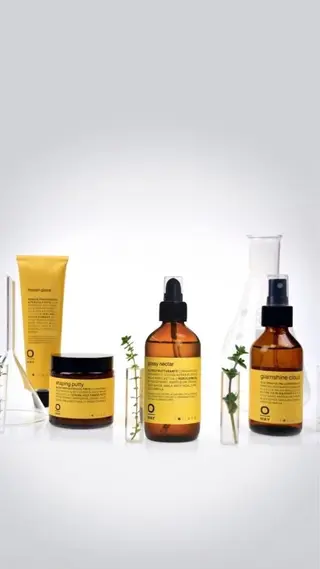 鈴木 悦子のヘアスタイル