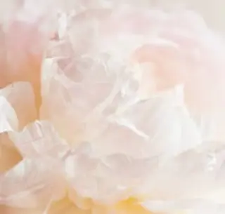 Mimu. momokaの眉毛・アイブロウイメージ