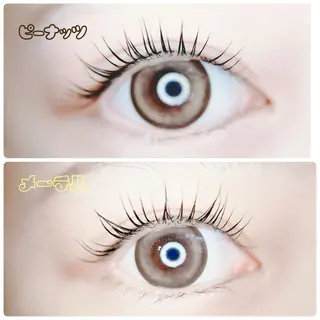 マツエク・マツパ Door's矢口渡 Mamiiのマツエク・マツパデザイン