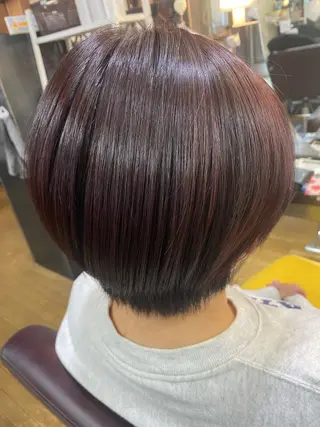 ショート カラー ラピスキーズ 寺本のヘアスタイル