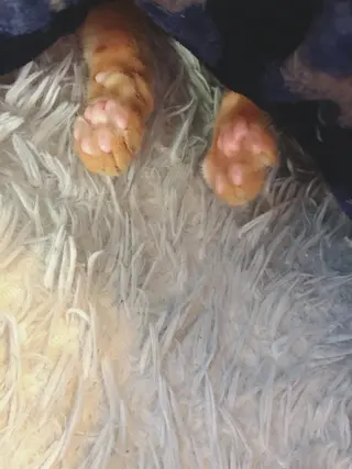 kiki nail &brow二子玉川の眉毛・アイブロウイメージ