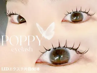 マツエク・マツパ モデル募集 POPPY 川崎のマツエク・マツパデザイン