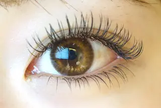 マツエク・マツパ 野田 京七のマツエク・マツパデザイン