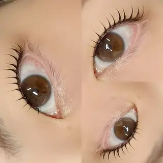マツエク・マツパ 【ダメージケア特化】 🌸 サクララッシュの眉毛・アイブロウイメージ