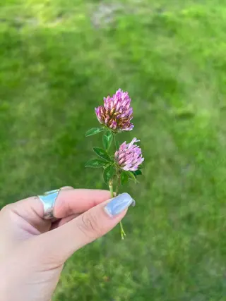 ヘアアレンジ メンズ ネイル アイブロウ ヘアメイクネイリスト 💄💅hidemiのヘアスタイル