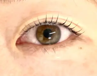 マツエク・マツパ haruka 【ever天神店】のマツエク・マツパデザイン