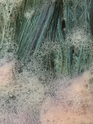 ショート カラー ヘアアレンジ ｔｏ ｋｉのヘアスタイル