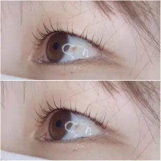 マツエク・マツパ 《eyelash ｉｉｔｅ》森のマツエク・マツパデザイン