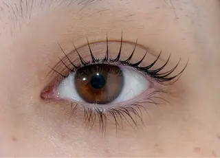 マツエク・マツパ Lil by Fan. 菊池のマツエク・マツパデザイン