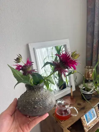 Brasilia Emi's roomのエステ・リラクイメージ