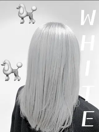 セミロング カラー ハイトーン特化 川井優汰のヘアスタイル