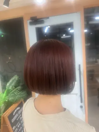 ショート カラー 武田 綺音のヘアスタイル
