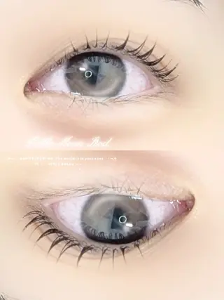 マツエク・マツパ bloom chihiroのマツエク・マツパデザイン