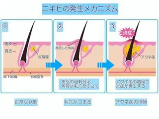 デトックス美容専門 サロンpeonyのエステ・リラクイメージ