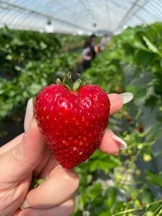 マツエク・マツパ ame.ai 🥣🫧🏹のマツエク・マツパデザイン