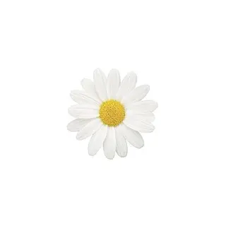 ネイル private. nailsalonのネイルデザイン