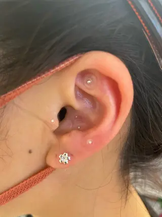 田中 美穂の眉毛・アイブロウイメージ