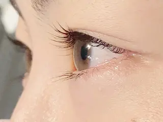 マツエク・マツパ マキノ サヤカのマツエク・マツパデザイン