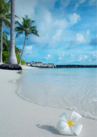 🫧縮毛矯正／カラー ／bless松浦🫧のヘアスタイル