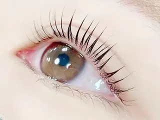 マツエク・マツパ ベリーラッシュ あゆの眉毛・アイブロウイメージ