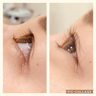 マツエク・マツパ Daisy hair eyelashのマツエク・マツパデザイン