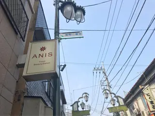 マツエク・マツパ 🌿Anis 🌿のマツエク・マツパデザイン