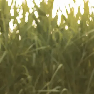 滝澤 良紀のヘアスタイル