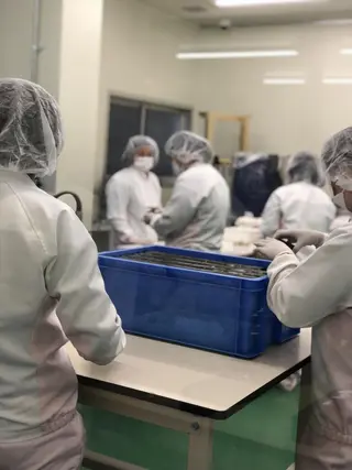 ビューティーサロン グレース立川店のエステ・リラクイメージ