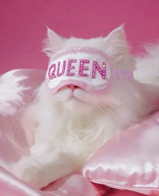 マツエク・マツパ 🎀eyelist. mizuki🐈⬛の眉毛・アイブロウイメージ