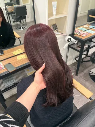 セミロング カラー nijika/ カラーリスト🫧のヘアスタイル