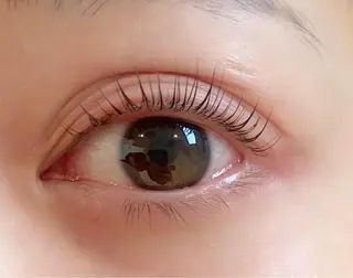 マツエク・マツパ ❁Noa‪‪❁ 長谷川明音の眉毛・アイブロウイメージ