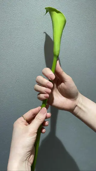 ネイル sis nail 梅田　あい子のネイルデザイン