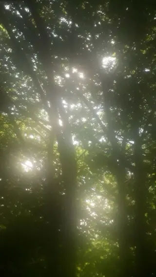 ミディアム 🌱ヘッドスパ🌱 愛衣香🫧のヘアスタイル