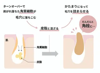 美と癒しのお店 OTOHAいしはらのエステ・リラクイメージ