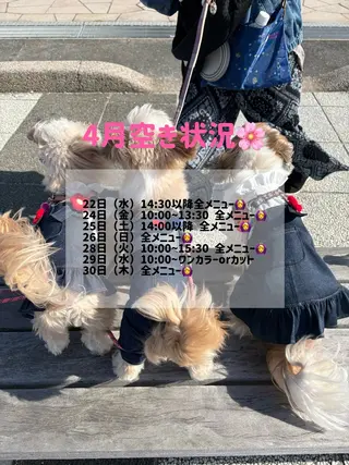 ロング カラー ヘアアレンジ 韓国透明感🇰🇷 SAKURAのヘアスタイル