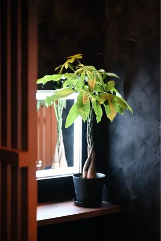 Secret.R ／AKINOのマツエク・マツパデザイン